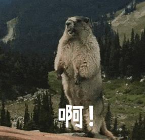 vue element admin 教程